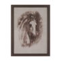 15764 - Portrait of a Thoroughbred II by Mercana Studio a Framed Art Print Matted under Glass