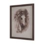 15764 - Portrait of a Thoroughbred II by Mercana Studio a Framed Art Print Matted under Glass