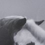 15766 - Horse Harmony - Nuzzle by Laura Warren a Hand Embellished Framed Photo Art Print Matted under Glass