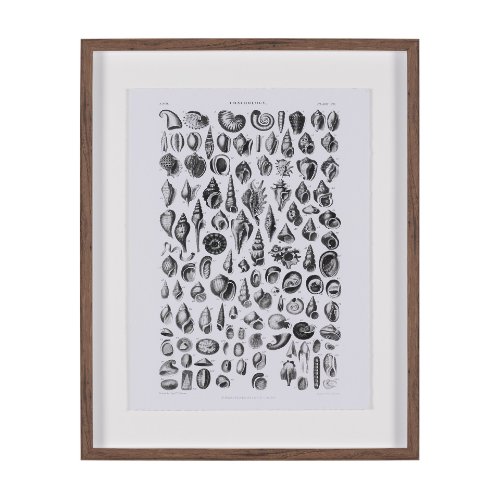 15810 - Sealife III by Oliver Goldsmith a Hand Embellished Framed Art Print Matted under Glass