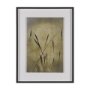 15814 - Botany Blades by Michael Banks a Hand Embellished Framed Photo Art Print Matted under Glass
