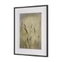 15814 - Botany Blades by Michael Banks a Hand Embellished Framed Photo Art Print Matted under Glass