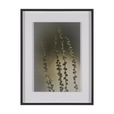 15815 - Hanging Delight by Michael Banks a Hand Embellished Framed Photo Art Print Matted under Glass