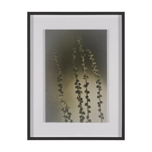 15815 - Hanging Delight by Michael Banks a Hand Embellished Framed Photo Art Print Matted under Glass