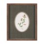 15807 - Anagallis Arvensis Flowers by Pierre Joseph Redoute a Hand Embellished Framed Print under Glass