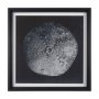 15830 - Urchin Still Life III by Nathan Larson a Hand Embellished Framed Photo Art Print Matted under Glass