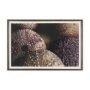 15833 - Purple Sea Urchins by Nathan Larson a Hand Embellished Framed Photo Art Print Matted under Glass