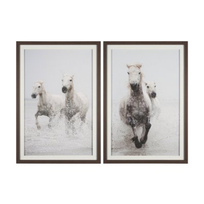 15832 - Determination Horse(Set of 2) by Irene Sucocki a Hand Embellished Framed Art Photo Print under Glass