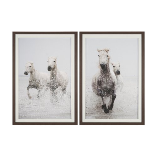 15832 - Determination Horse(Set of 2) by Irene Sucocki a Hand Embellished Framed Art Photo Print under Glass
