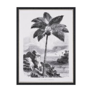 Vintage Palm Tree Drawing I by Les Palmiers Histoire Embellished Textured Framed Canvas