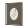 15807 - Anagallis Arvensis Flowers by Pierre Joseph Redoute a Hand Embellished Framed Print under Glass