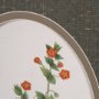 15807 - Anagallis Arvensis Flowers by Pierre Joseph Redoute a Hand Embellished Framed Print under Glass