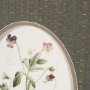 15808 - Viola Arvensis Flowers by Pierre Joseph Redoute a Hand Embellished Framed Print under Glass