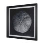 15830 - Urchin Still Life III by Nathan Larson a Hand Embellished Framed Photo Art Print Matted under Glass