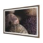15833 - Purple Sea Urchins by Nathan Larson a Hand Embellished Framed Photo Art Print Matted under Glass