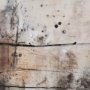101092-FL - Blk Wht Bronze II by Jennifer Goldberger a Hand Embellished Textured Framed Canvas