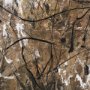102691-FL - Chaos & Order II by Chad Warren a Hand Embellished Textured Framed Canvas