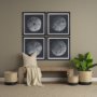 15830 - Urchin Still Life III by Nathan Larson a Hand Embellished Framed Photo Art Print Matted under Glass