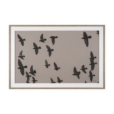 15862 - Flock I by Nathan Larson a Hand Embellished Framed Photo Print under Glass