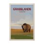 15837 - Grasslands GO (XL) by Mercana Studio a Hand Embellished Decograph Framed Art Print under Glass