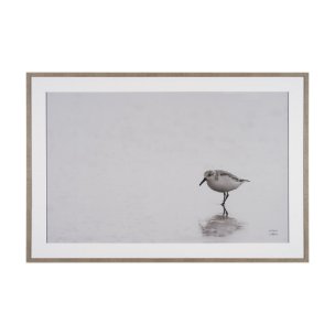 Tybee Island Sanderling by Nathan Larson a Hand Embellished Framed Photo Print under Glass