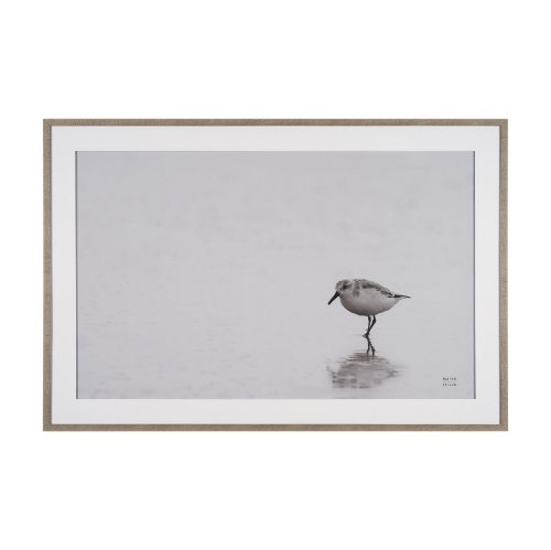 15861 - Tybee Island Sanderling by Nathan Larson a Hand Embellished Framed Photo Print under Glass