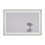 15861 - Tybee Island Sanderling by Nathan Larson a Hand Embellished Framed Photo Print under Glass