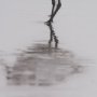 15861 - Tybee Island Sanderling by Nathan Larson a Hand Embellished Framed Photo Print under Glass