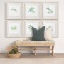 11345 - Tarragon v2 by Chris Paschke a Framed Art Print Matted under Glass