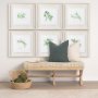 11343 - Rosemary v2 by Chris Paschke a Framed Art Print Matted under Glass