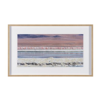 15851 - Pink Flamingoes by Richard Silver Hand Embelished  Framed Artwork Matted under Glass