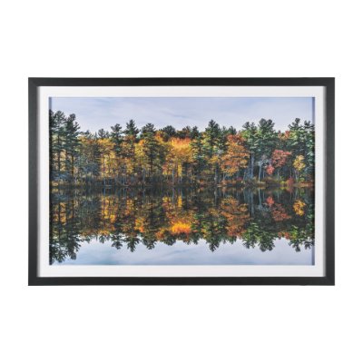 15931 - Fall Reflections by Dimitry Papkov Framed Art Print Matted under Glass