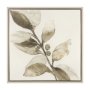 102722-FL - Cornus Alba II by Mercana Studio Hand-Embellished Textured Framed Canvas Artwork