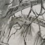 15957 - Ponderosa Whisper by Mercana Studio Hand Embelished Framed Artwork Matted under Glass