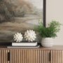 69539 - Malo 4.7L x 4.7W x 4.7H Cream Resin Small Sphere Decorative Object