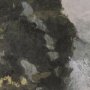 102743-FL - Silent Forest I by Mercana Studio Hand-Embellished Textured Framed Canvas Artwork