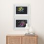 14369 - Honey Bee by Chad Mackay a Framed Photo Art Print Matted under Glass