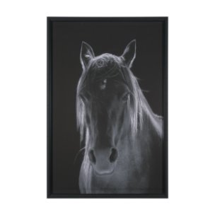 Shadowborn Majesty by Frank Ma Framed Photo Print Matted under Glass