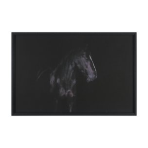 Majestic Midnight by Rehpoehler Framed Photo Print Matted under Glass