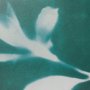16124 - Untitled II by Liz St. Andre Textured Framed Artwork Matted under Glass