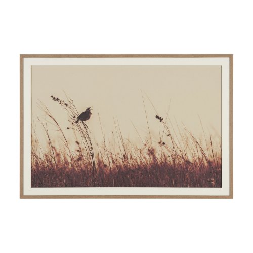 16166 - Meadowlark Call Antique by Nathan Larson FramedPhoto   Matted under Glass