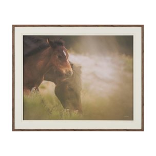 Magic by Chad Mackay FramedPhoto Print Matted under Glass