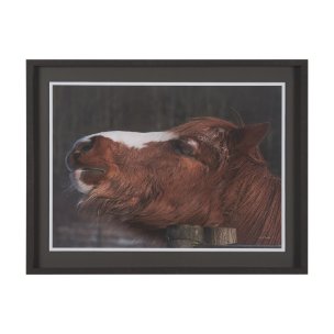 Hay over Here. by Chad Mackay FramedPhoto Print Matted under Glass