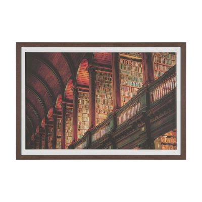 16197 - Trinity Library III by Nathan Larson FramedPhoto Print Matted under Glass