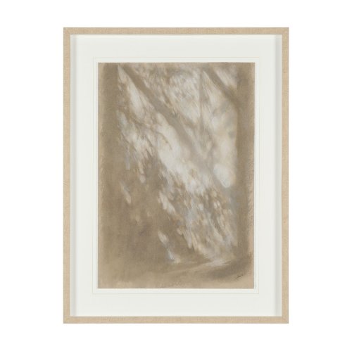 16212 - Passing Shadows I by Mercana Studio Framed Artwork Matted under Glass