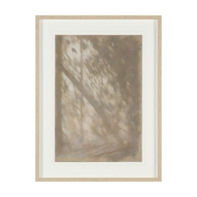 16213 - Passing Shadows II by Mercana Studio Framed Artwork Matted under Glass