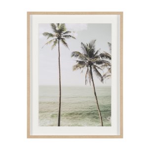 Oceanside Palms by Shot By Clint Framed Photo Print Matted under Glass