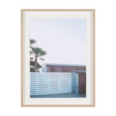 16263 - Modern Oasis View by Shot By Clint Framed Photo Print Matted under Glass