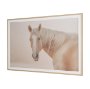 16248 - Looking Back by Nathan Larson FramedPhoto Print Matted under Glass