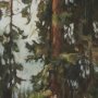 16242 - Heart of the Forest III by Mercana Studio Textured Framed Artwork Matted under Glass
